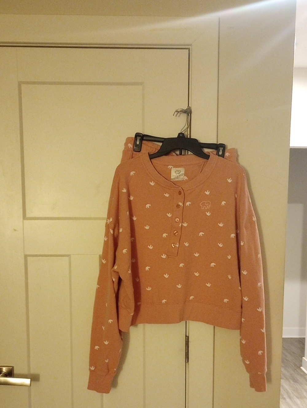 Women’s Dusty Rose Button Henley Sweater And Shirt Set